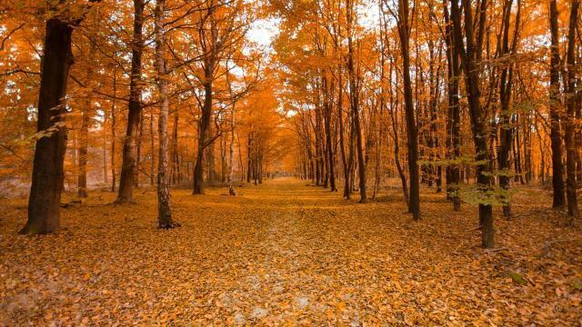 男女之间的矛盾究竟是怎么回事？又改如何化解？