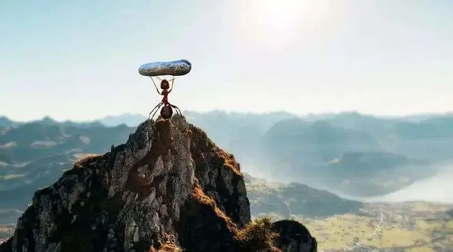 一个真相：这5种“弱者心理”，其实是生存的大忌