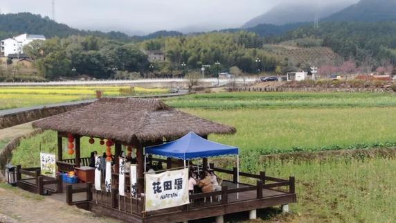 武夷山春游正当时，油菜花海美如画卷，游客沉醉其中不愿离去