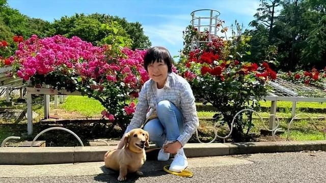 安倍晋三离世3年，遗孀安倍昭惠独自登泰山，衣着简单笑容满面