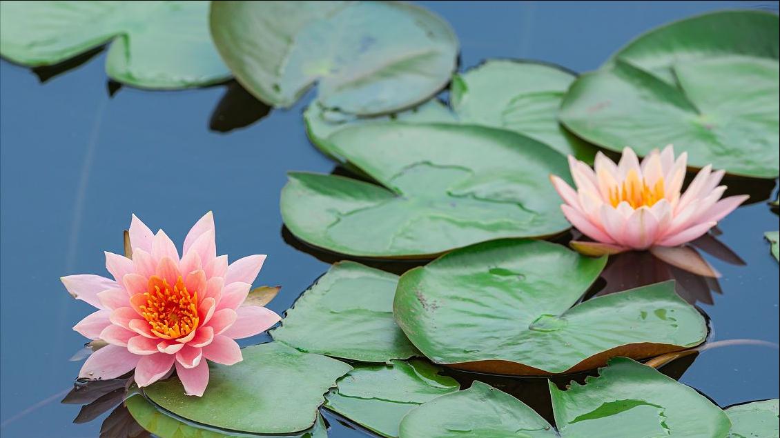 人老了，要把存款告诉子女吗？一位退休老人的回答很现实