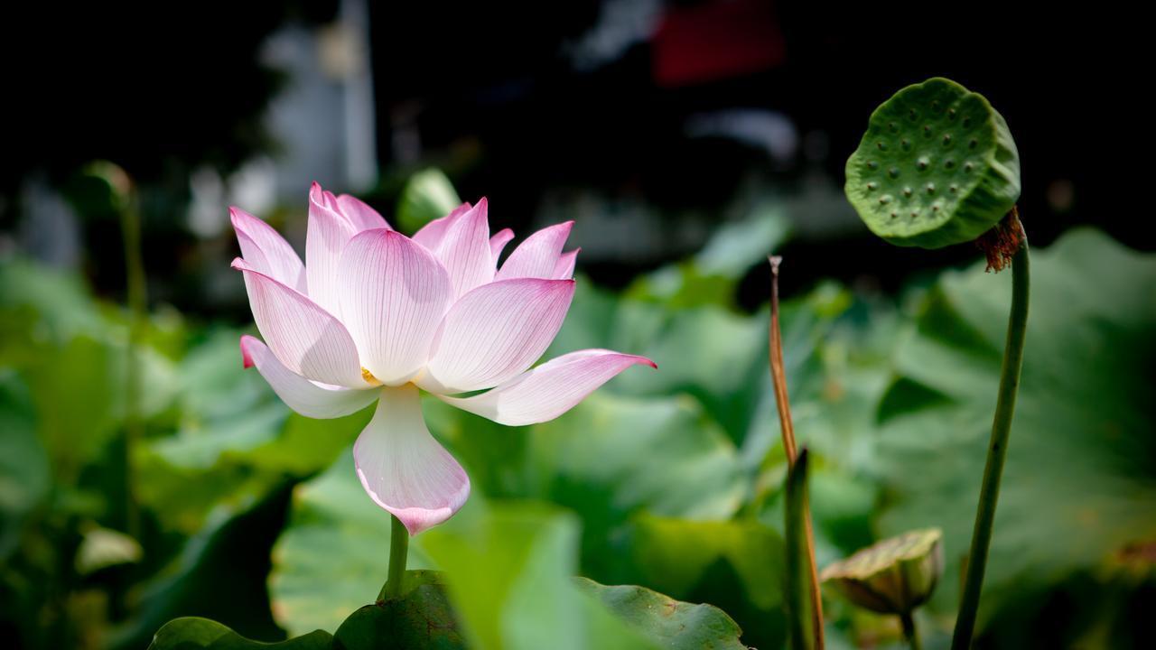 领导是不是在培养你，明眼人是能看出来的