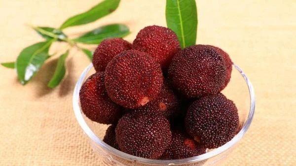 为什么不给孩子吃杨梅？真正的理由只有1个！