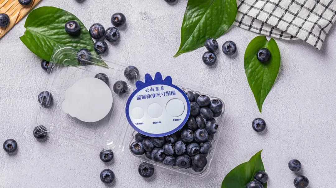 云南水果界的“花仙子”，花香脆甜藏不住了！