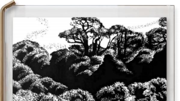 张正扬——世界非遗传承人物代表