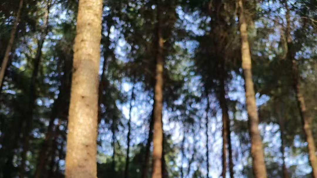 唐探1900的三种反抗