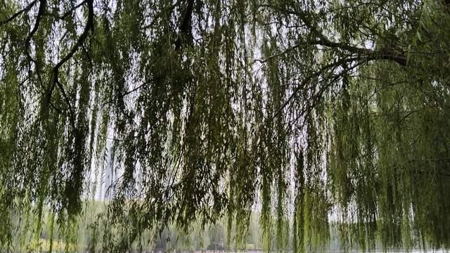 叛逆和厌学青春期孩子背后，先有一个内耗和情绪不稳定的焦虑家长