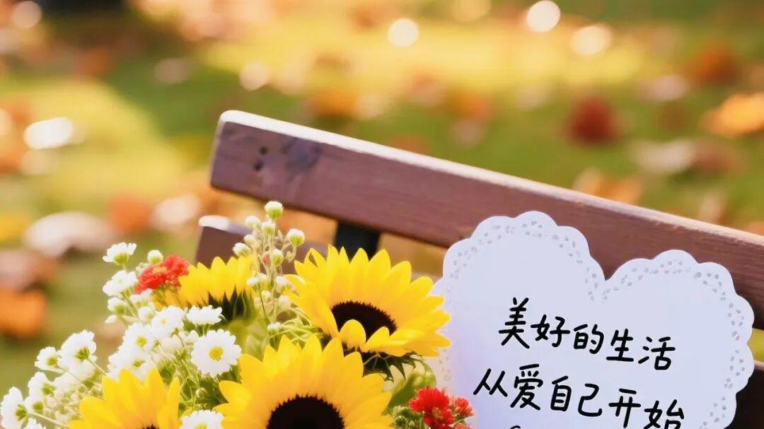 早安这样发，句句高级，句句正能量，赞爆你的朋友圈