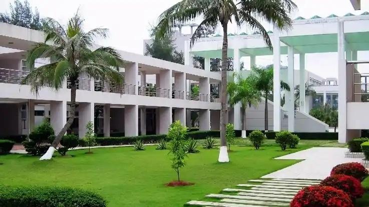 海南省疯狂引入985大学，未来将会成为一地鸡毛吗？