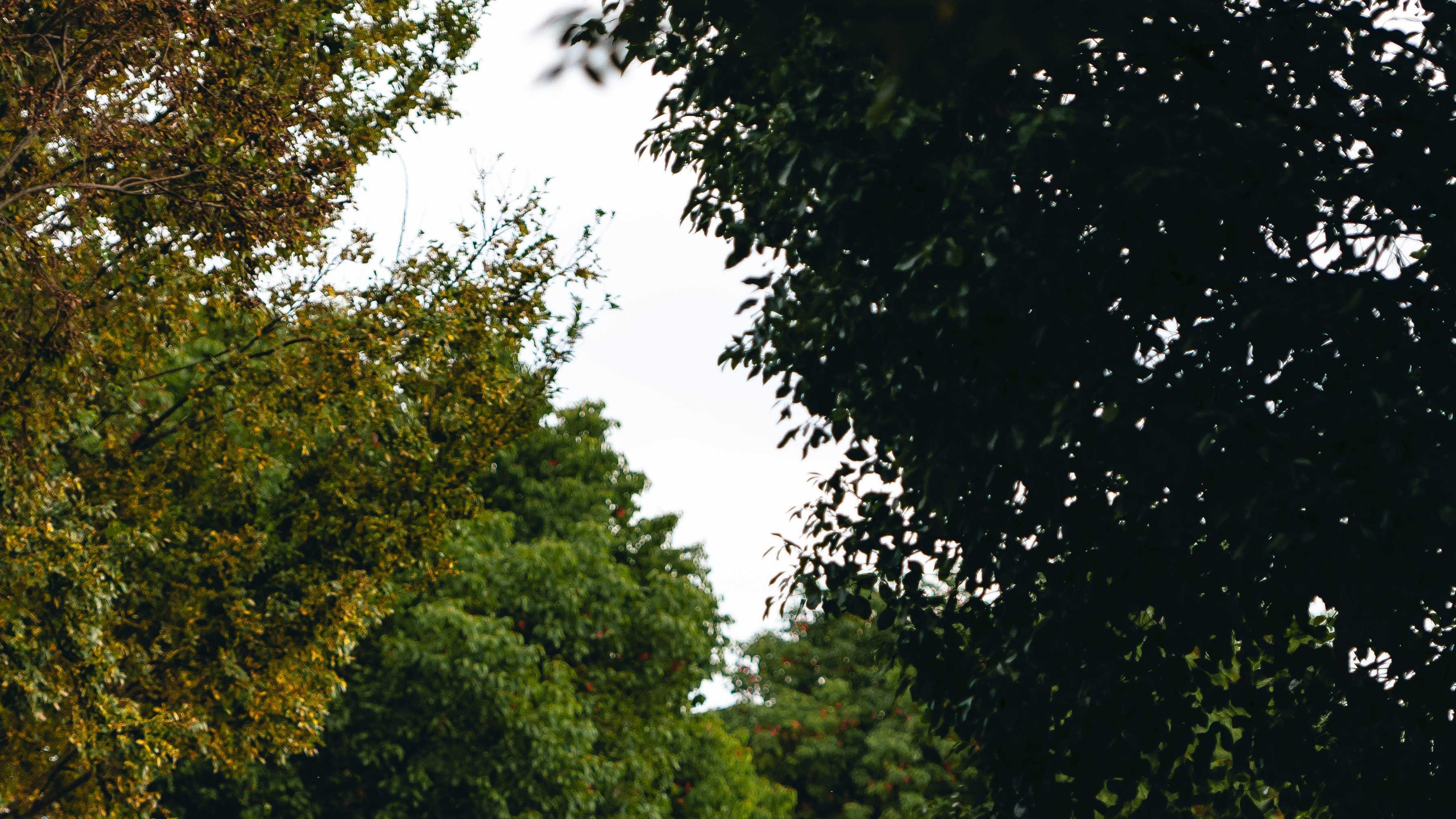 雷克萨斯SUV秘籍，不止于豪华！