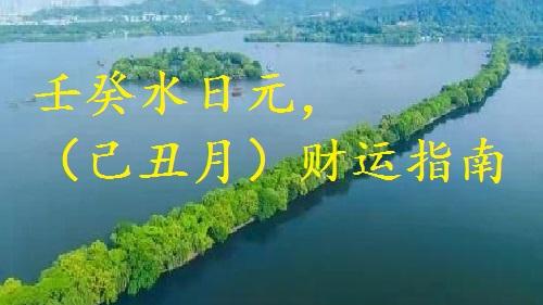 壬癸水日元，2025蛇年十二月，（己丑月）财运指南