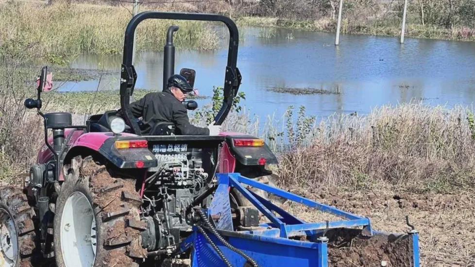 信阳市平桥区洋河镇：党建引领促丰收 撂荒地变“薯”富田