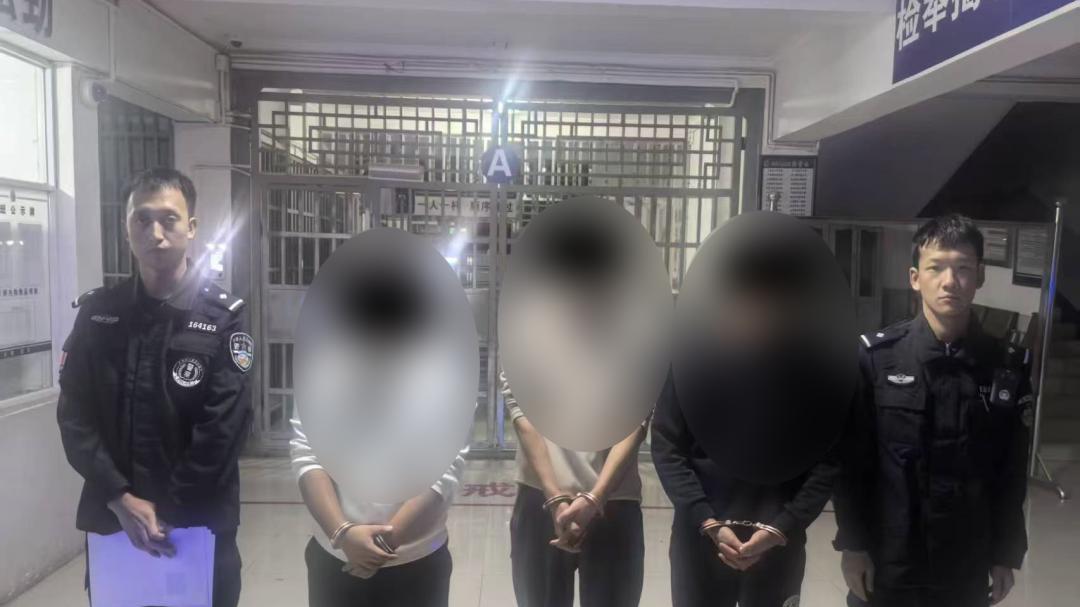 6人卖淫嫖娼被抓！3名女子对卖淫违法行为供认不讳