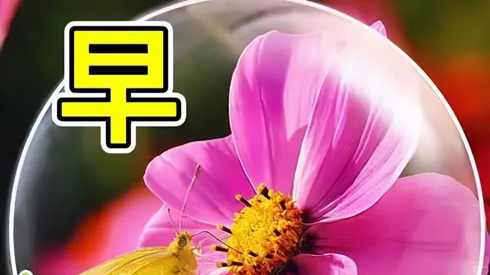 早安吉祥精美图片，早晨开心问候短句，情真意切来祝福