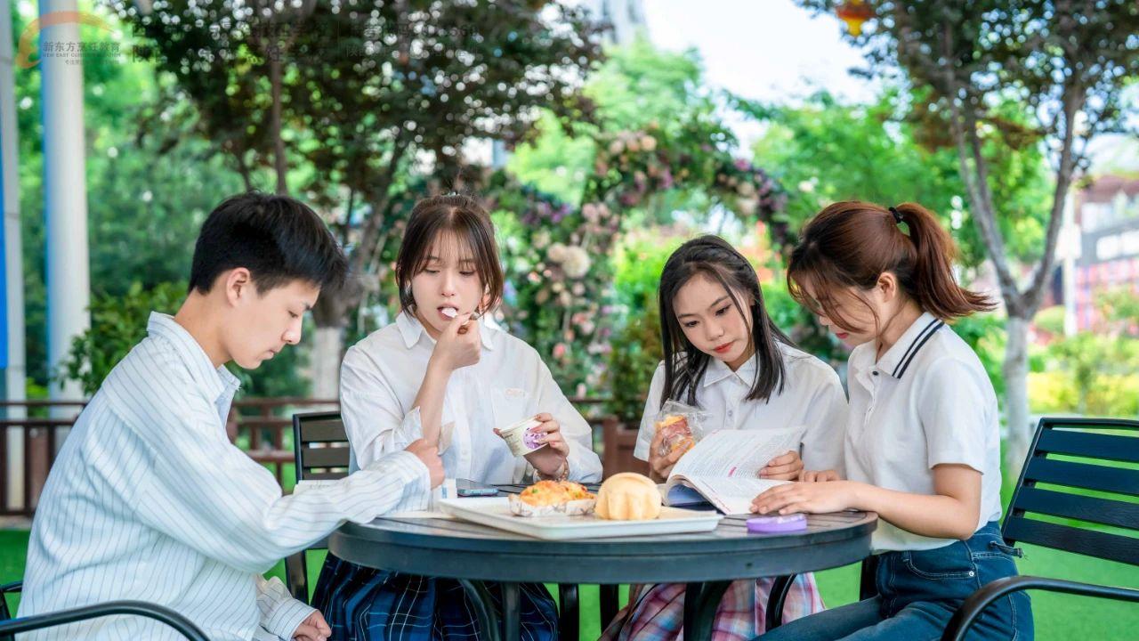 值透视，精准选择——新东方烹饪学校学费与专业规划指南