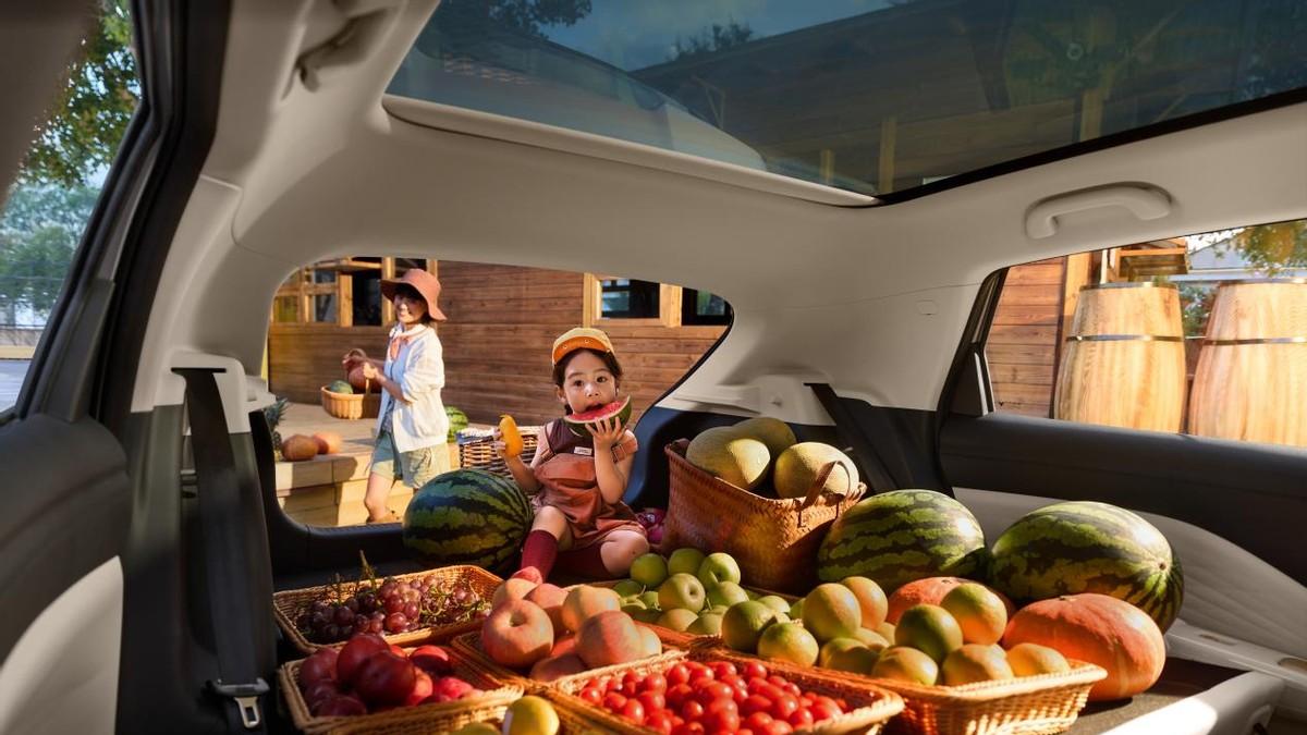 6.88万元起！极狐T1预售价是不是很有诱惑力？