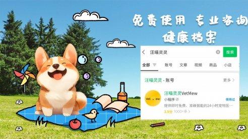 狗狗追尾巴到第几圈算异常？别等出事才后悔！