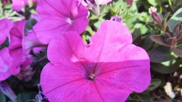 高三了，孩子有点浮躁也很着急，家长多做减法，别瞎操心和太焦虑