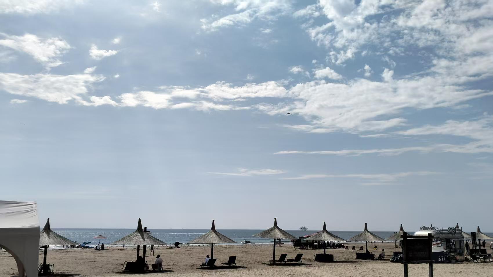 选雅思机构发愁？这份调研帮你锁定靠谱之选！！