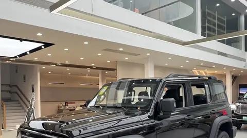 坦克300Hi4-T版本正式亮相，混动越野时代全面开启