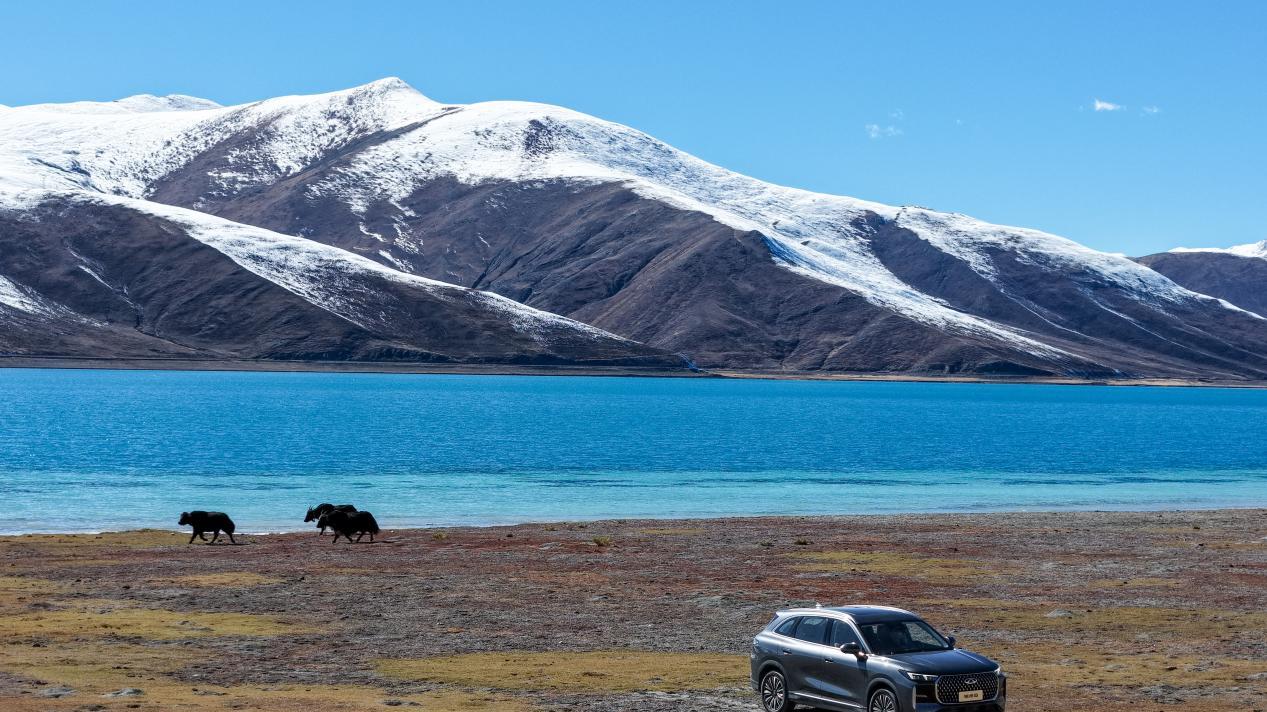 最高享1.2万元置换补贴 第五代瑞虎8硬核守护年底返乡