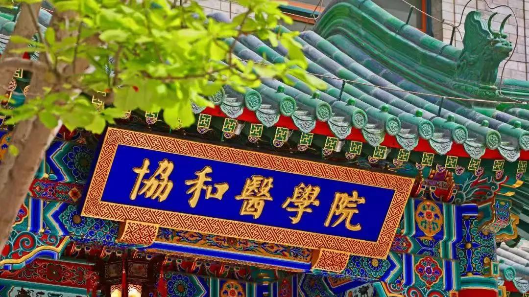 与众不同的协和医学院领导设置：书记兼任副校长，那与校长谁大？