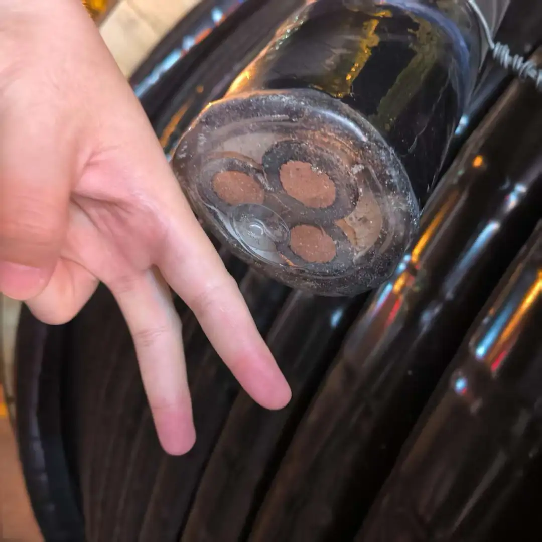 追剧《黄雀》好的细节和反转，太多了就是故弄玄虚