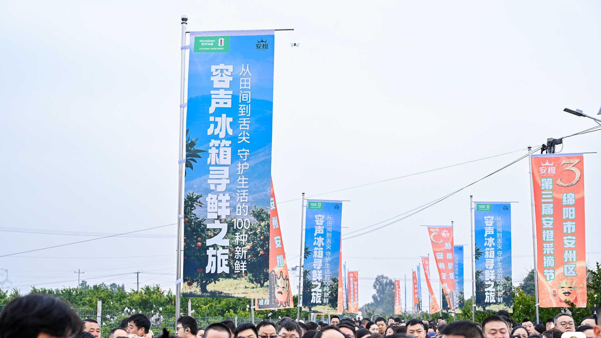 从枝头到舌尖：容声冰箱助力“安橙”鲜活直达黄金风味