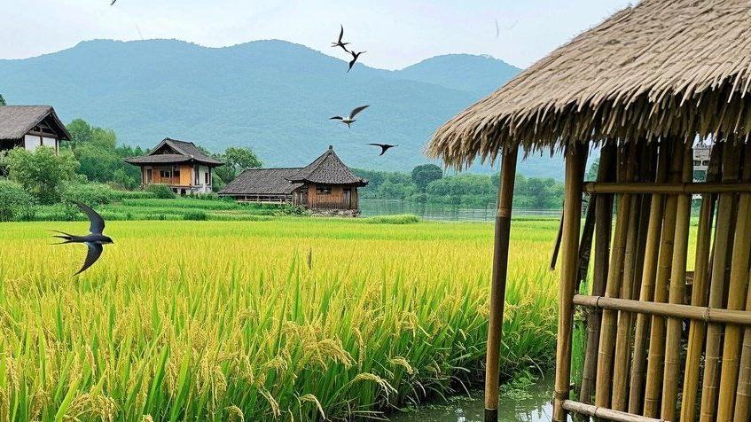 生活中容易破财的日常行为