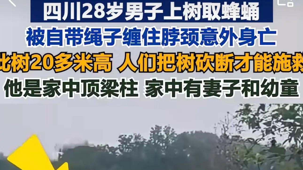 28岁男子上树，被自带绳子缠绕脖子身亡！刚结婚不久，更多详情曝光