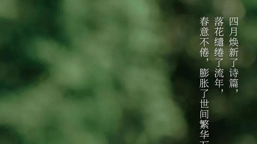 当四月来临，你最期待的事情是什么？