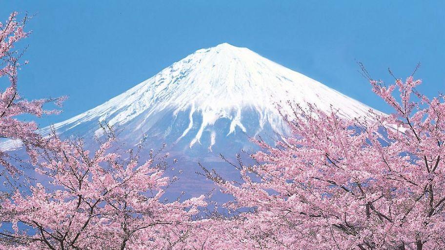 五日日本研学，既见硬核科技，亦悟温润匠心。