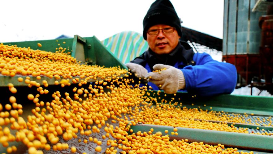 多地明确：2025年生产者补贴将发，大豆每亩最少能补320元！