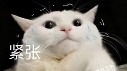 物理学博士+量子力学！率土之滨史上硬核的征服战术来了