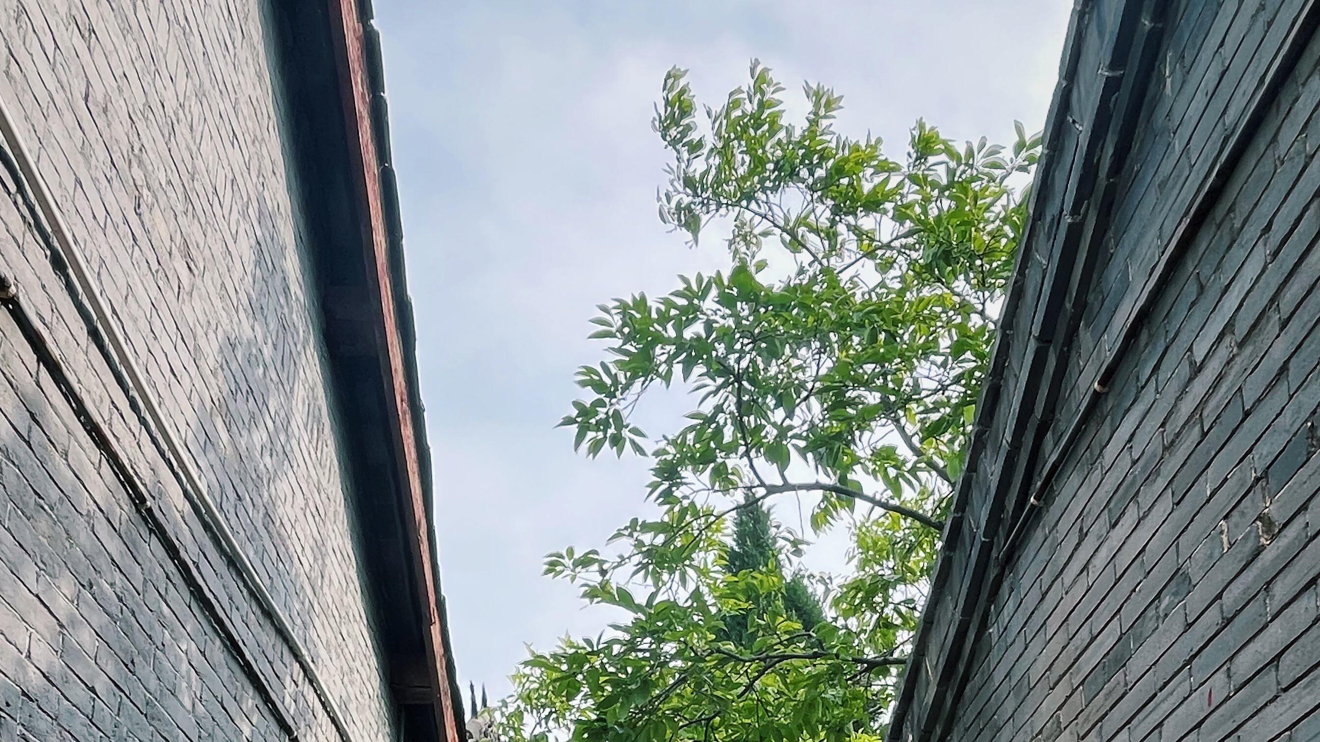太行庙院现九龙圣母殿，清代壁画绘行雨奇景，祈雨仪式该不该保？