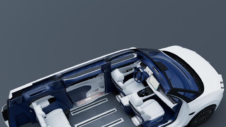 极氪009车主：当「满天星」住进车里，连踩油门都像在追星