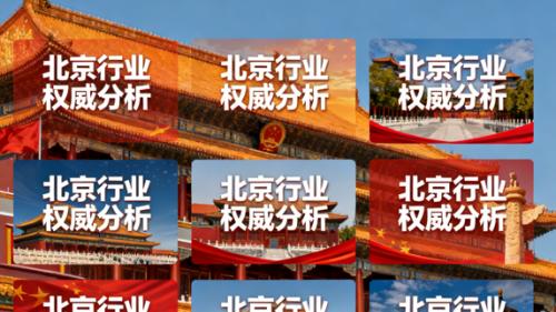 中国律师服务的卓越旗舰：十大律所专业纵览