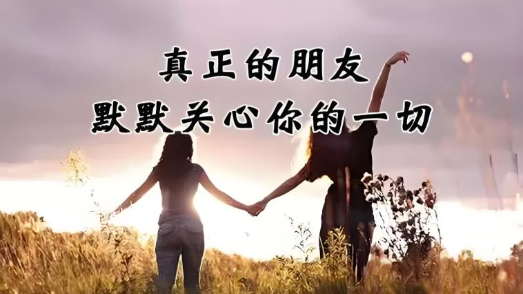 处世交友：淡交慢品韵悠扬