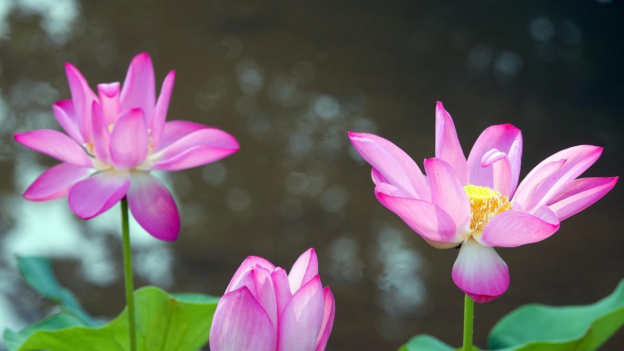 当一个人要离开你，女人要学会这样做