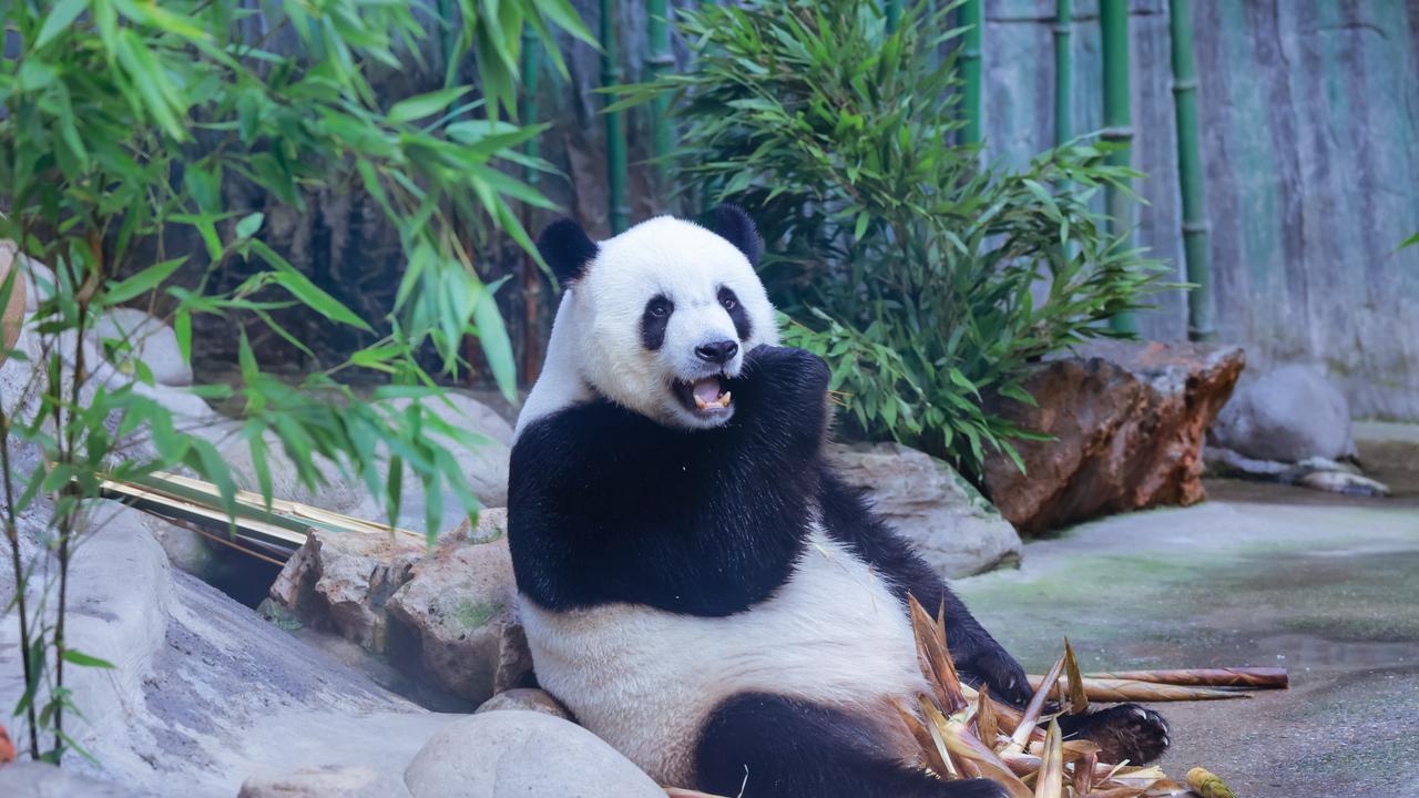 别被“高大上”吓着，这就是杯让人越喝越上头的“快乐水”