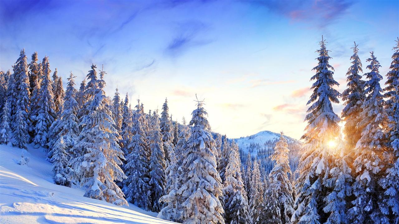 未来中国政治走向