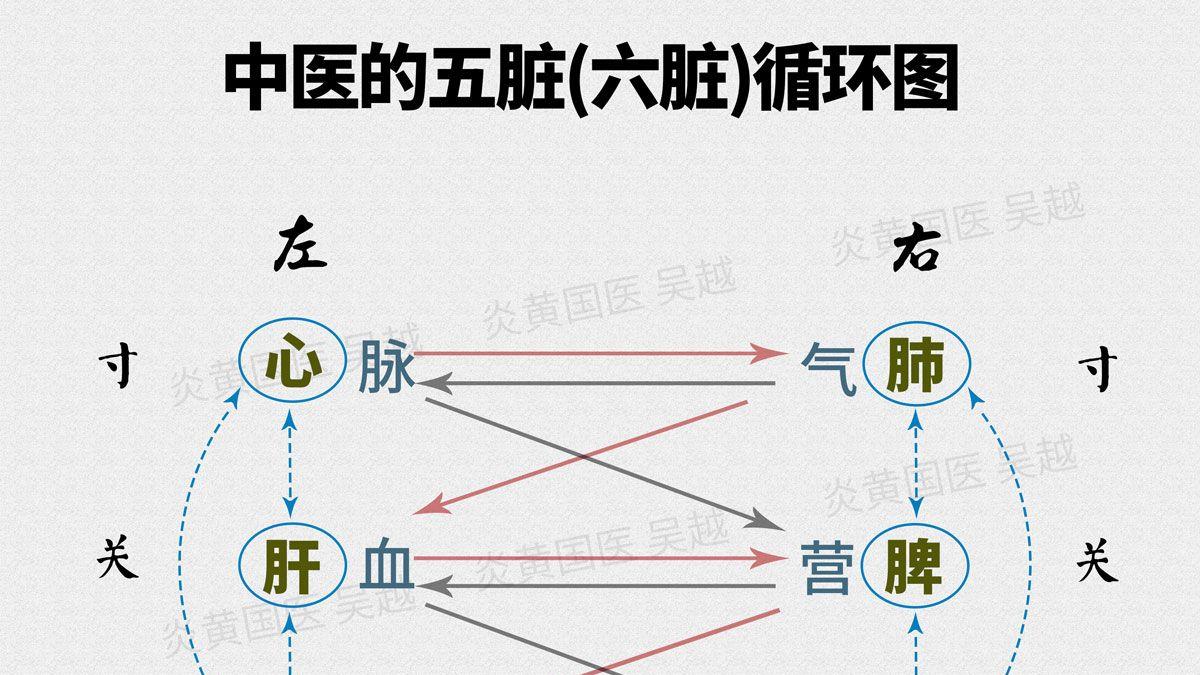 辅行诀伊尹内伤外感经方复杂变化在伤寒金匮中的应用09