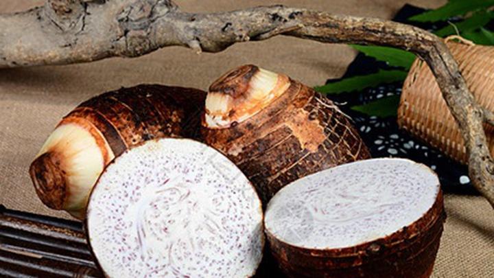 芋头高温休眠对策，深井水灌溉法，越夏持续生长案例