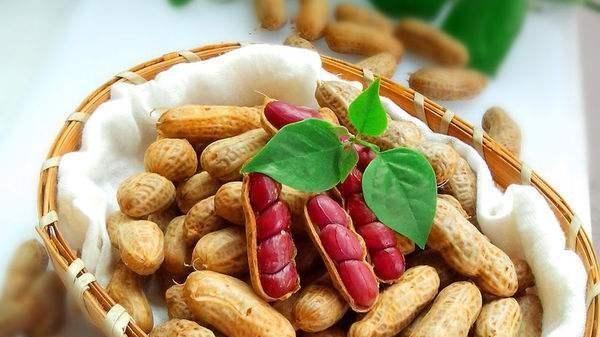 花生叶片为何变黄？探究背后的六大原因