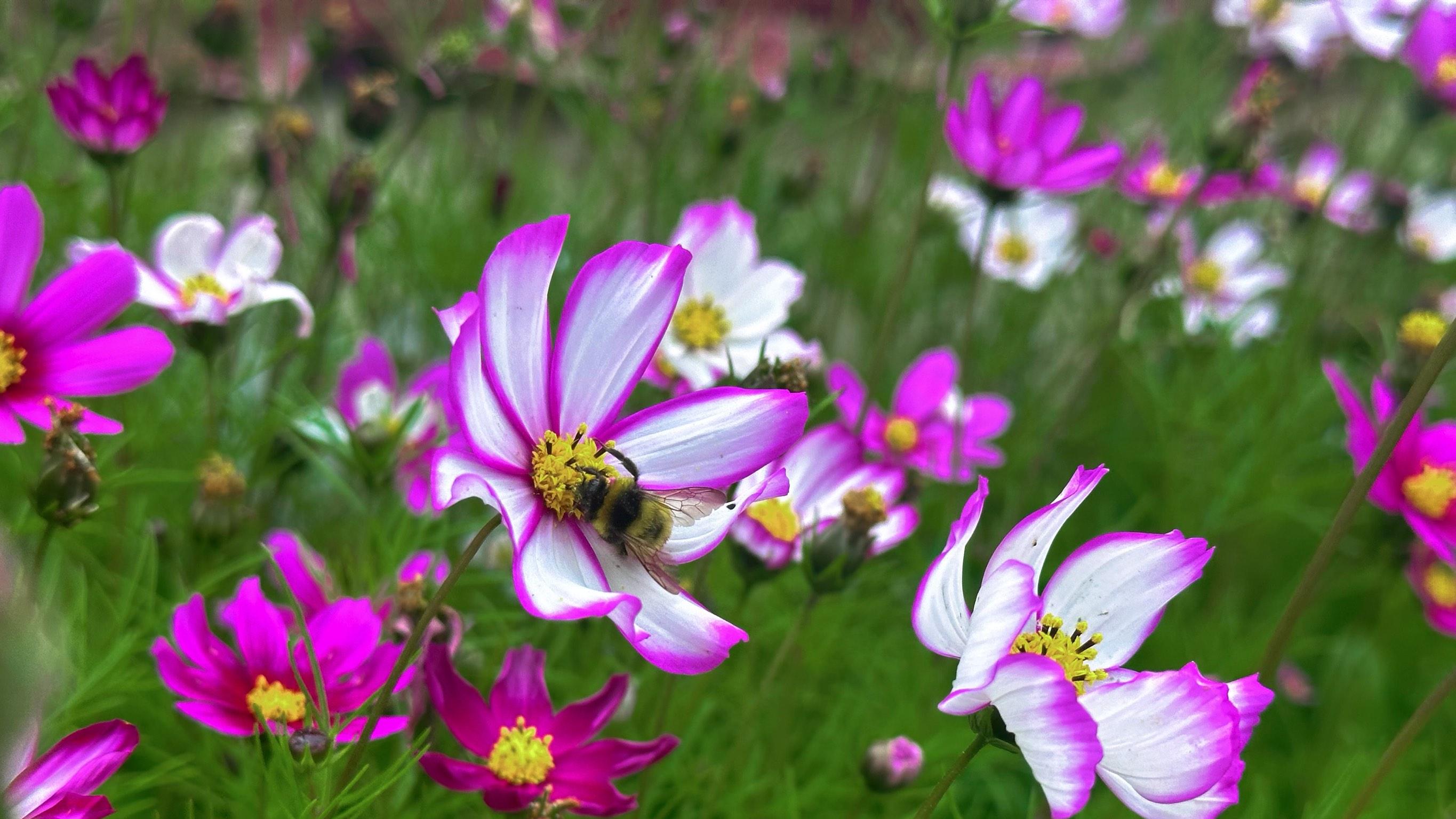 人到中年，不管过得好不好，都别去这4种人家里串门，这是高情商