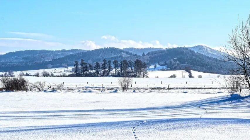 接下来家电厂商的市场抢单还缺点啥？