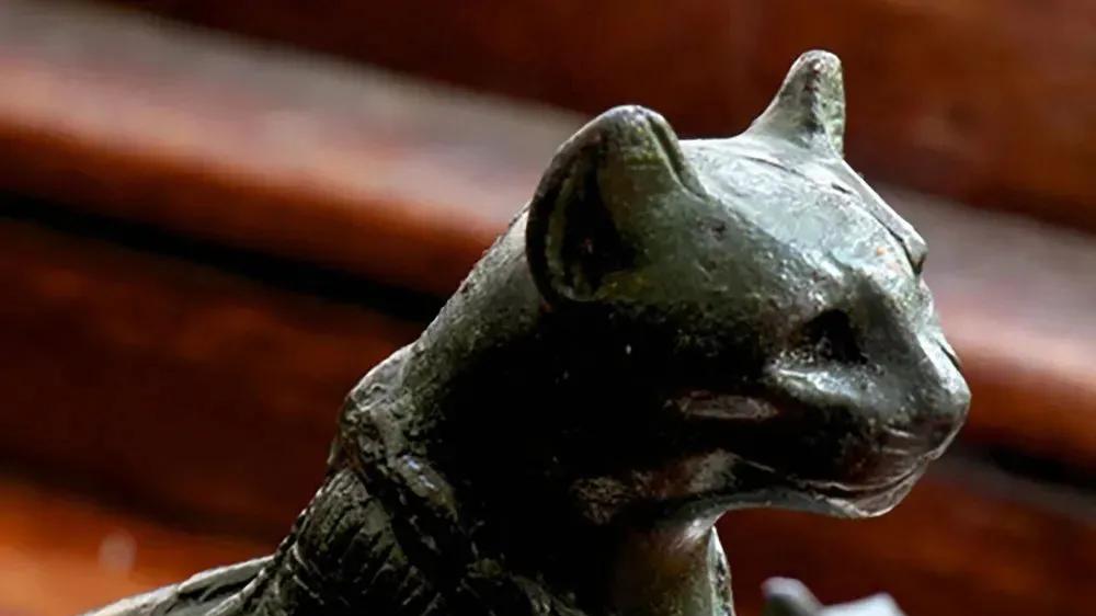 人类与猫的13000年共生史：从捕鼠帮手到家庭伴侣
