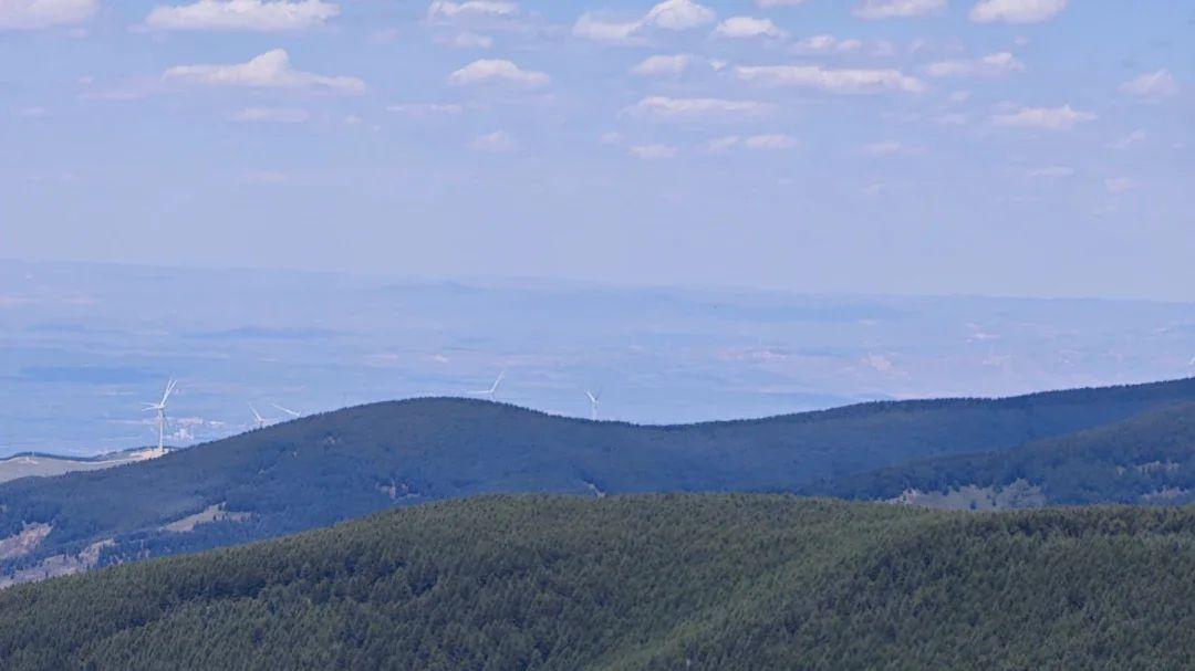 山西五寨荷叶坪旅游攻略及综合服务旅行社推荐榜：高原草甸的“踏实牧歌”，这样游才见真绿