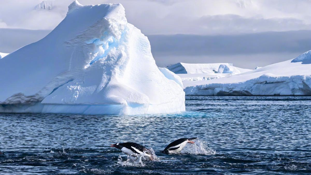 华为Mate 80系列或首发第二代红枫影像，以跨越式影像能力破圈