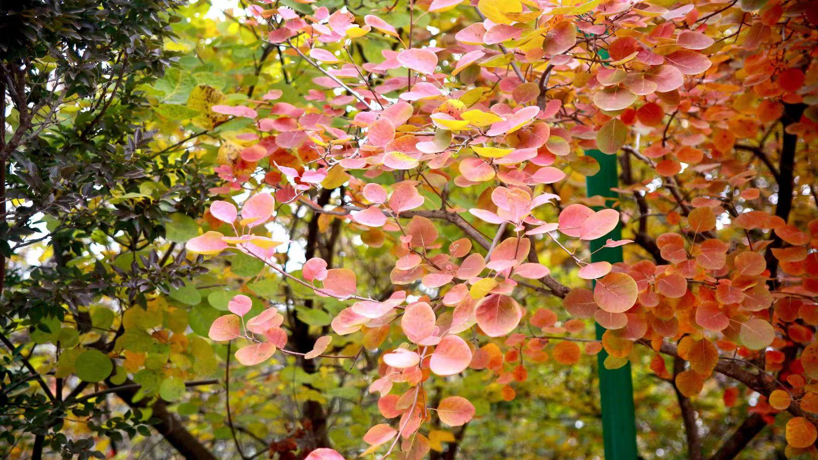 不遗憾失去，不辜负拥有